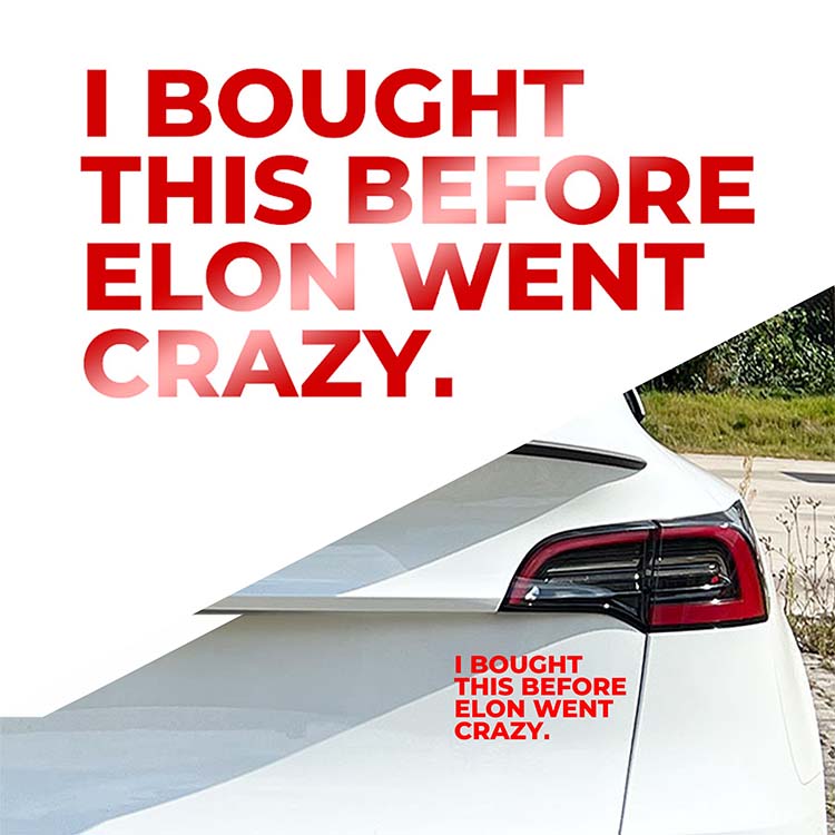 I BOUGHT THIS BEFORE ELON WENT CRAZY - Tesla Auto Aufkleber Vinyl Sticker Rot Glänzend