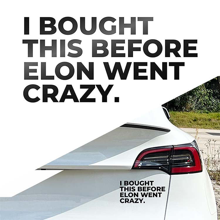 I BOUGHT THIS BEFORE ELON WENT CRAZY - Tesla Auto Aufkleber Vinyl Sticker Schwarz Glänzend